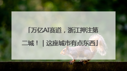 万亿AI赛道，浙江押注第二城！｜这座城市有点东西