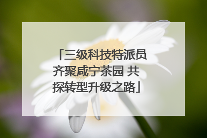 三级科技特派员齐聚咸宁茶园 共探转型升级之路