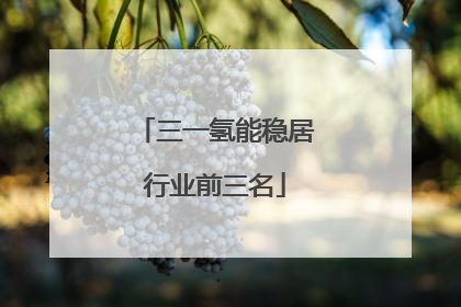 三一氢能稳居行业前三名