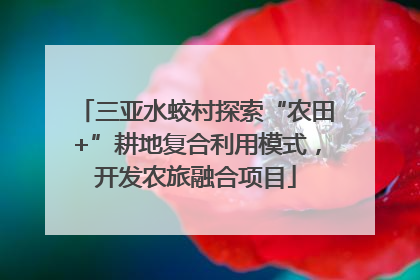 三亚水蛟村探索“农田+”耕地复合利用模式，开发农旅融合项目