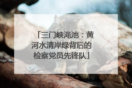 三门峡渑池：黄河水清岸绿背后的检察党员先锋队