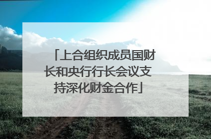 上合组织成员国财长和央行行长会议支持深化财金合作