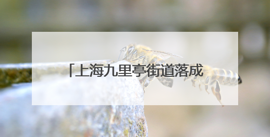 上海九里亭街道落成新九里亭，“老九里亭”历经多次重建搬迁