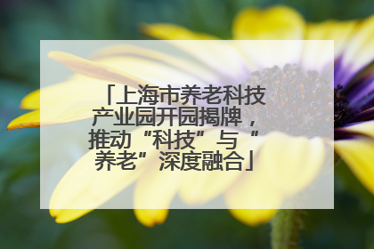 上海市养老科技产业园开园揭牌，推动“科技”与“养老”深度融合