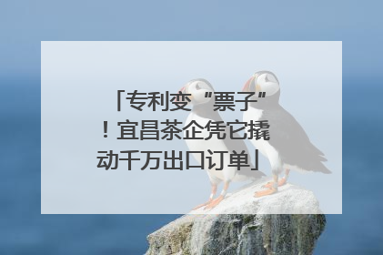 专利变“票子”！宜昌茶企凭它撬动千万出口订单