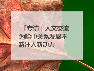 专访｜人文交流为哈中关系发展不断注入新动力——访哈萨克斯坦文化与信息部部长巴拉耶娃