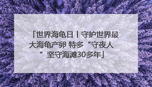 世界海龟日丨守护世界最大海龟产卵 特多“守夜人”坚守海滩30多年