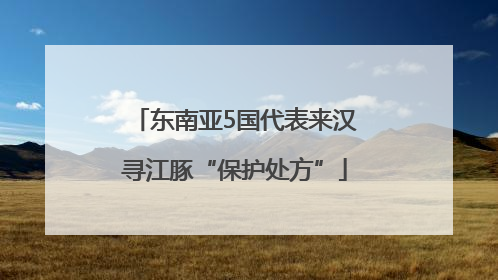 东南亚5国代表来汉寻江豚“保护处方”