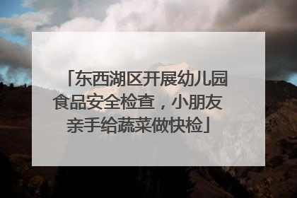 东西湖区开展幼儿园食品安全检查，小朋友亲手给蔬菜做快检
