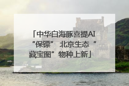 中华白海豚喜提AI“保镖” 北京生态“藏宝图”物种上新