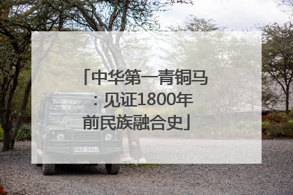 中华第一青铜马：见证1800年前民族融合史