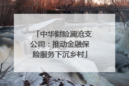 中华财险澜沧支公司：推动金融保险服务下沉乡村