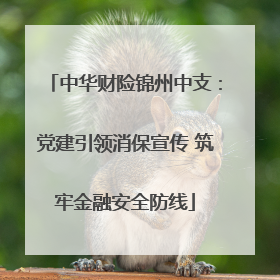 中华财险锦州中支：党建引领消保宣传 筑牢金融安全防线