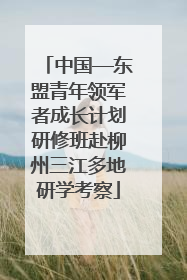 中国—东盟青年领军者成长计划研修班赴柳州三江多地研学考察