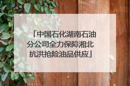 中国石化湖南石油分公司全力保障湘北抗洪抢险油品供应