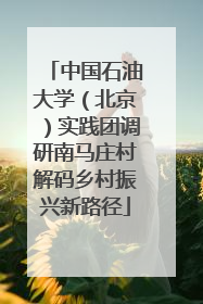 中国石油大学（北京）实践团调研南马庄村解码乡村振兴新路径