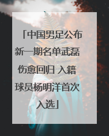 中国男足公布新一期名单武磊伤愈回归 入籍球员杨明洋首次入选