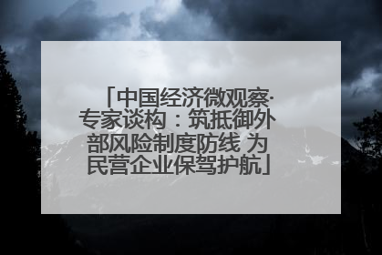 中国经济微观察·专家谈构：筑抵御外部风险制度防线 为民营企业保驾护航