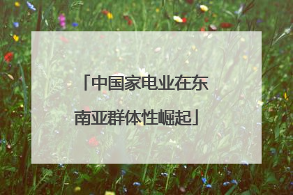 中国家电业在东南亚群体性崛起