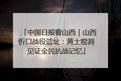 中国日报看山西｜山西忻口战役遗址：黄土窑洞见证全民抗战记忆