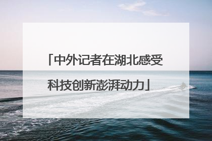 中外记者在湖北感受科技创新澎湃动力