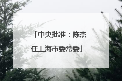 中央批准：陈杰任上海市委常委