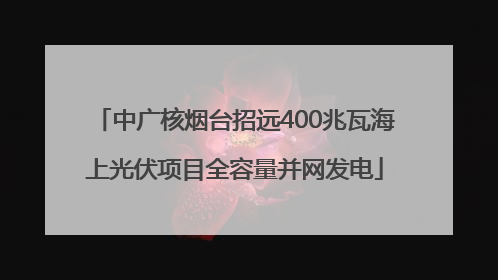 中广核烟台招远400兆瓦海上光伏项目全容量并网发电