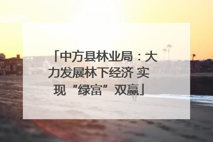 中方县林业局：大力发展林下经济 实现“绿富”双赢