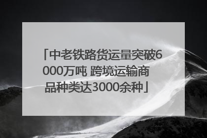 中老铁路货运量突破6000万吨 跨境运输商品种类达3000余种