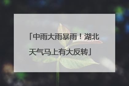 中雨大雨暴雨！湖北天气马上有大反转