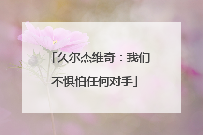 久尔杰维奇：我们不惧怕任何对手