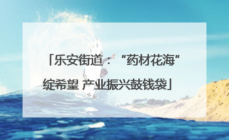 乐安街道：“药材花海”绽希望 产业振兴鼓钱袋