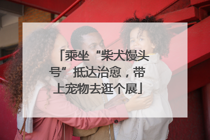 乘坐“柴犬馒头号”抵达治愈，带上宠物去逛个展