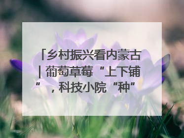 乡村振兴看内蒙古｜葡萄草莓“上下铺”，科技小院“种”出三倍效益