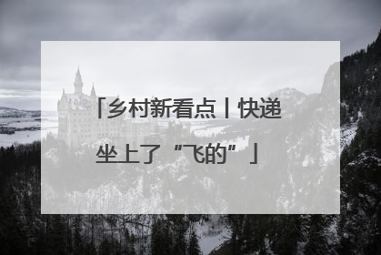 乡村新看点丨快递坐上了“飞的”