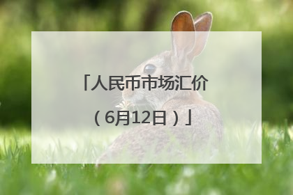 人民币市场汇价（6月12日）