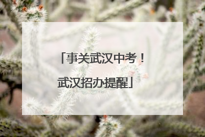 事关武汉中考！武汉招办提醒