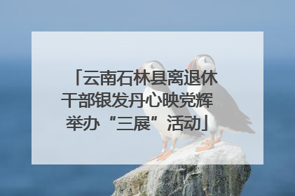 云南石林县离退休干部银发丹心映党辉举办“三展”活动