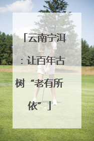 云南宁洱：让百年古树“老有所依”