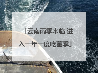 云南雨季来临 进入一年一度吃菌季