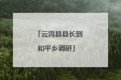 云霄县县长到和平乡调研
