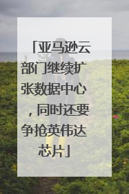 亚马逊云部门继续扩张数据中心，同时还要争抢英伟达芯片