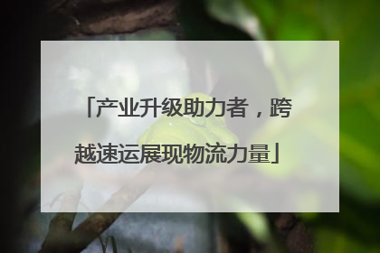 产业升级助力者，跨越速运展现物流力量