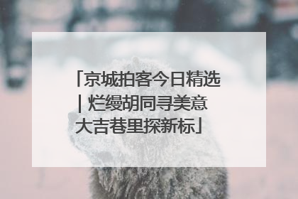 京城拍客今日精选｜烂缦胡同寻美意 大吉巷里探新标
