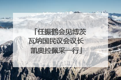 任振鹤会见博茨瓦纳国民议会议长凯奥拉佩采一行