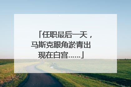 任职最后一天，马斯克眼角淤青出现在白宫……