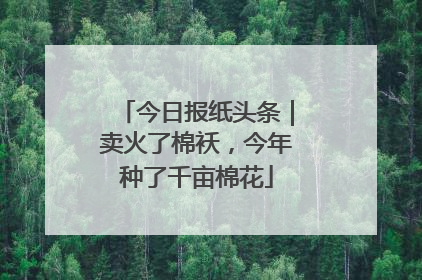 今日报纸头条｜卖火了棉袄，今年种了千亩棉花