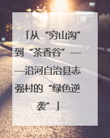从“穷山沟”到“茶香谷”——沿河自治县志强村的“绿色逆袭”