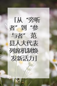 从“旁听者”到“参与者” 范县人大代表列席机制焕发新活力