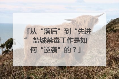 从“落后”到“先进” 盐城禁毒工作是如何“逆袭”的？